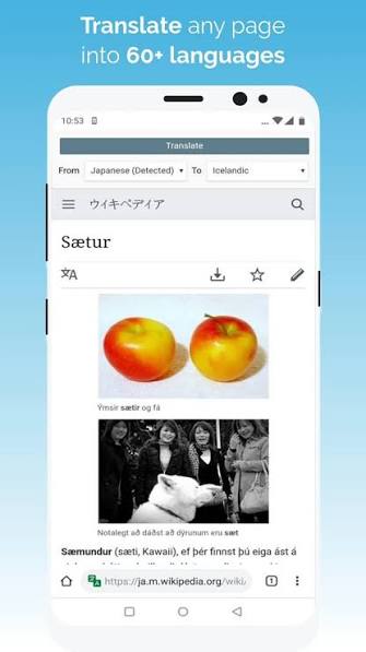 Kiwi Browser screenshot 3
